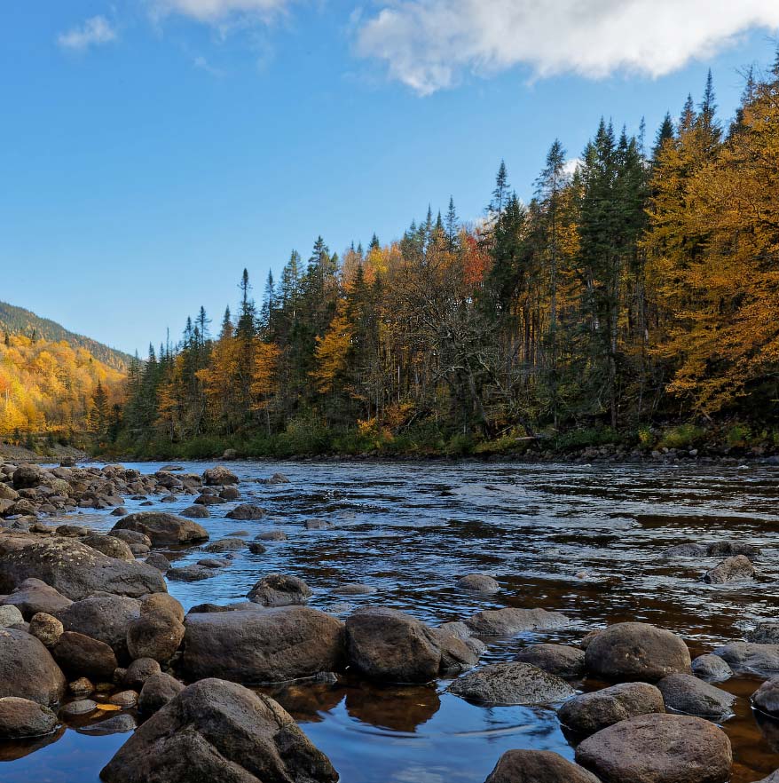 FORESTIÈRE JACQUES-CARTIER