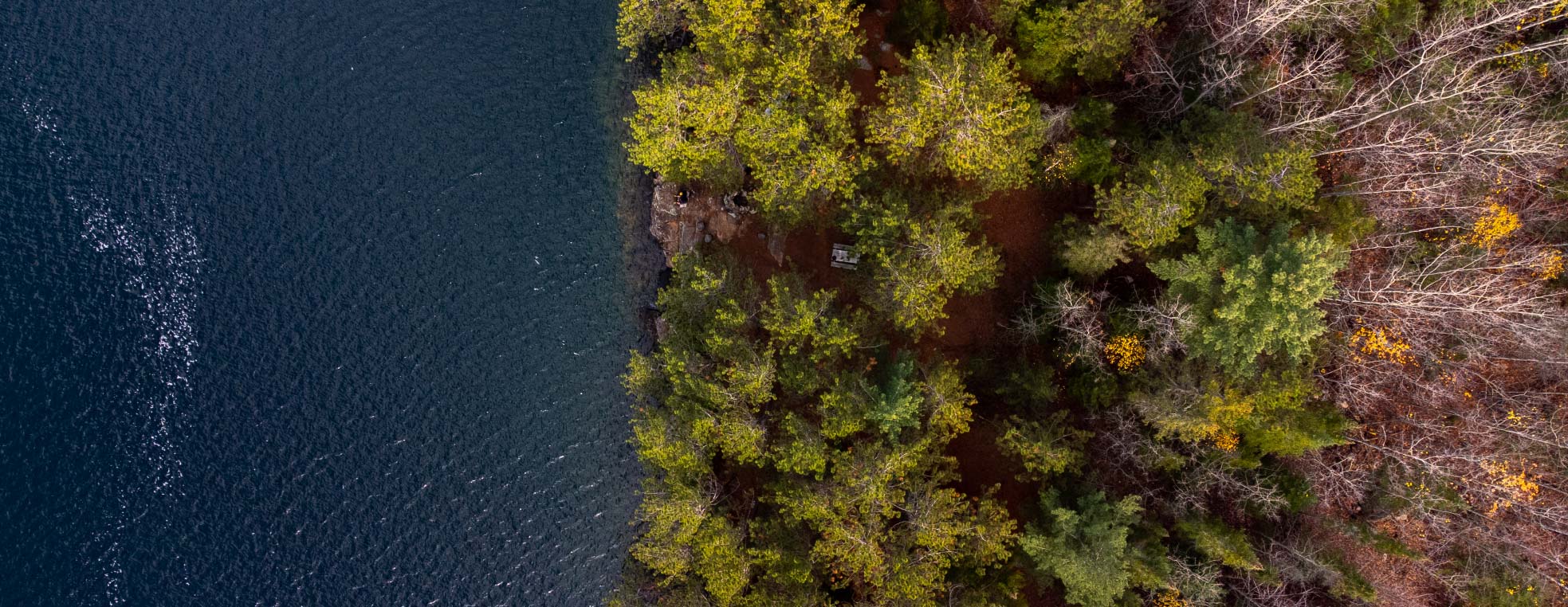 FORESTIÈRE JACQUES-CARTIER