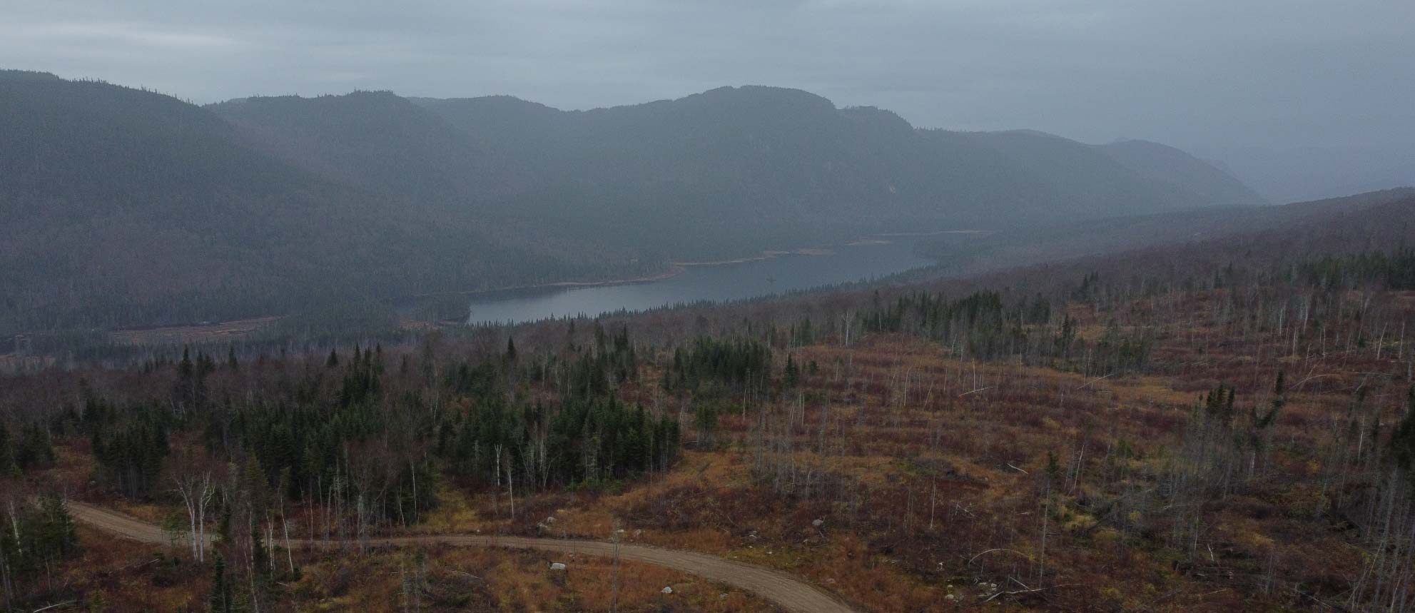 FORESTIÈRE JACQUES-CARTIER